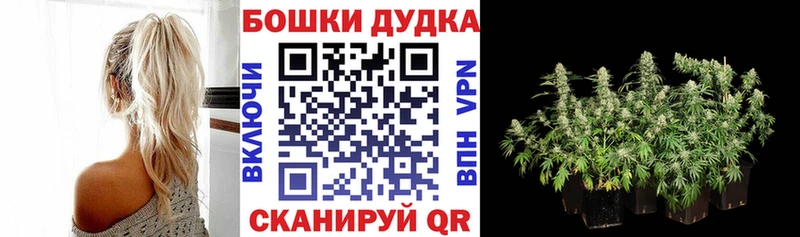 нарко площадка официальный сайт  Верхний Уфалей  Шишки марихуана семена 